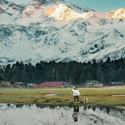 Fairy Meadows