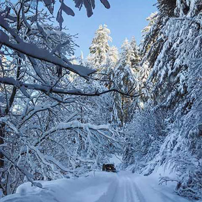 Shogran Valley
